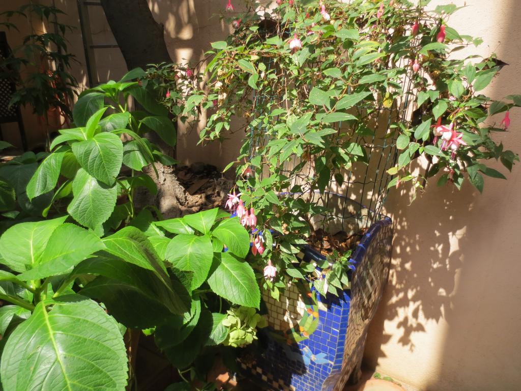 1900 B&B Terrassa Ngoại thất bức ảnh